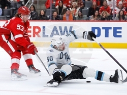 Mammoth Red Wings Hockey