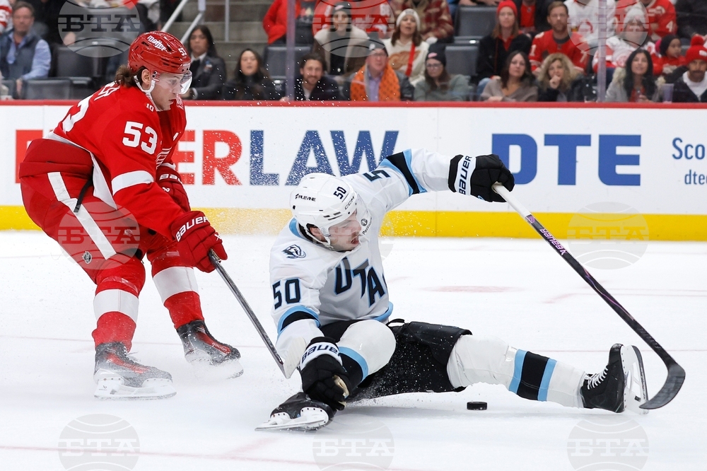 Mammoth Red Wings Hockey