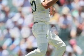 Australia England Cricket