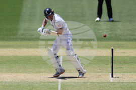 Australia England Cricket