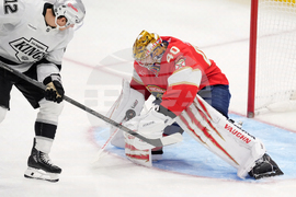 Kings Panthers Hockey