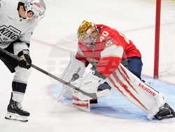 Kings Panthers Hockey