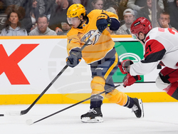 Hurricanes Predators Hockey