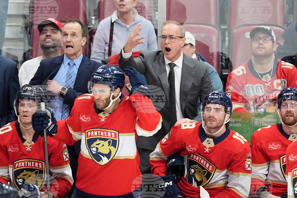 Kings Panthers Hockey