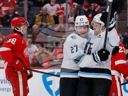 Mammoth Red Wings Hockey