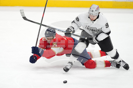 Kings Panthers Hockey