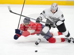 Kings Panthers Hockey