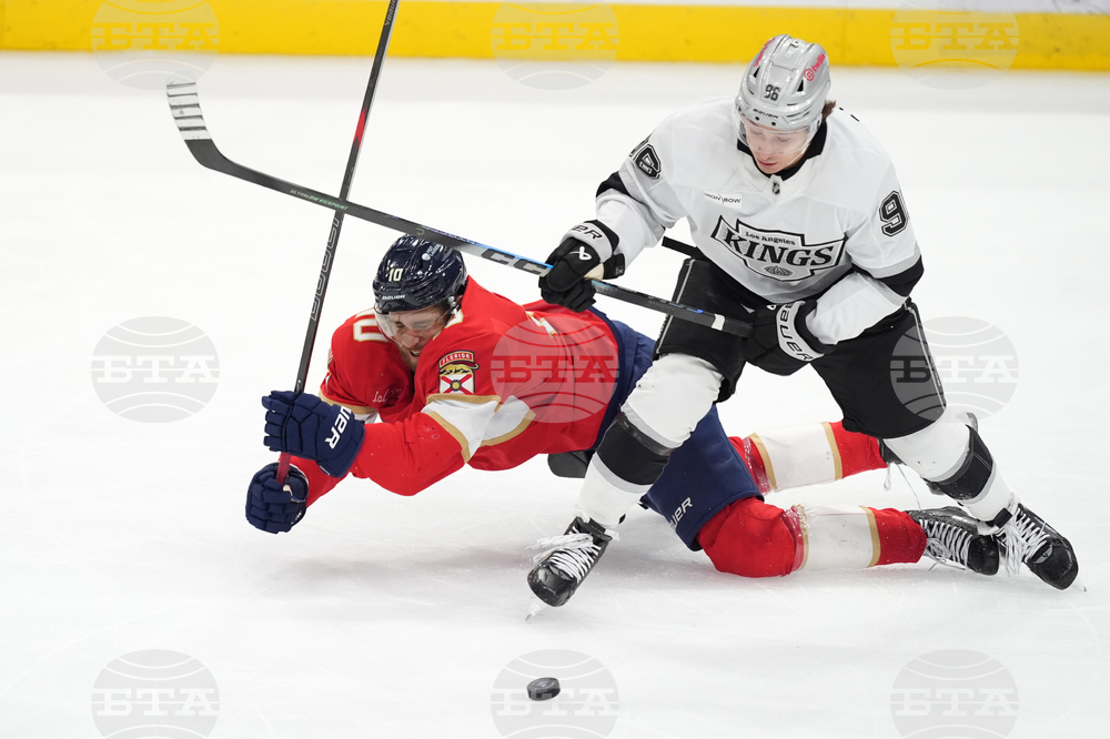 Kings Panthers Hockey