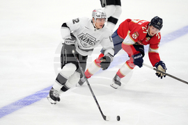 Kings Panthers Hockey