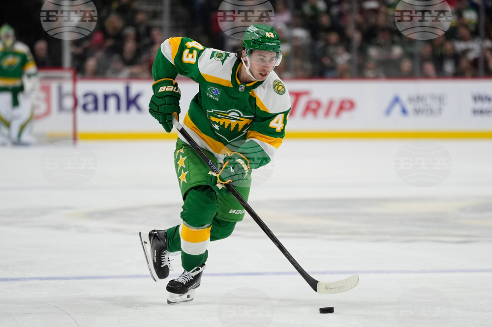 Capitals Wild Hockey