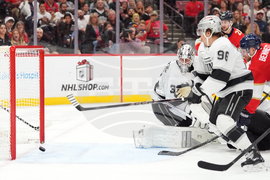 Kings Panthers Hockey