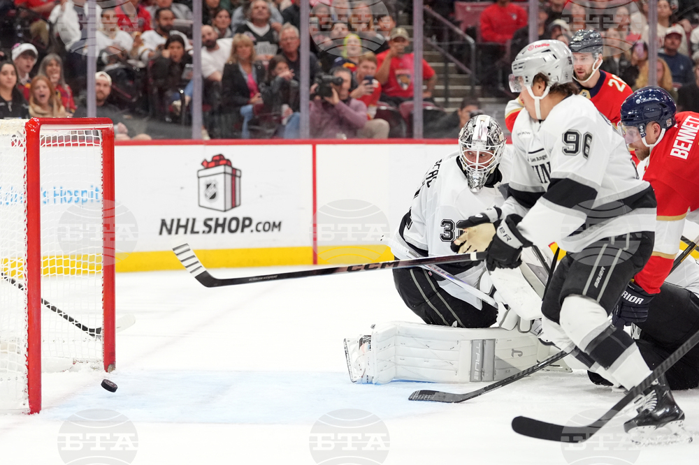 Kings Panthers Hockey