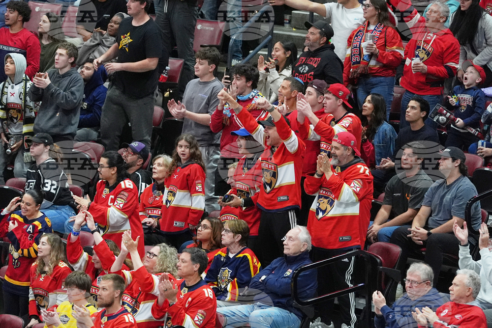 Kings Panthers Hockey