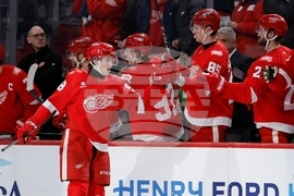 Mammoth Red Wings Hockey