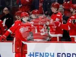 Mammoth Red Wings Hockey