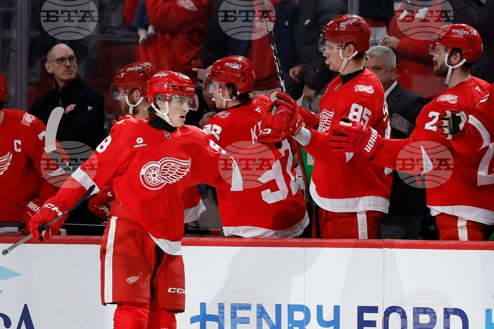 Mammoth Red Wings Hockey