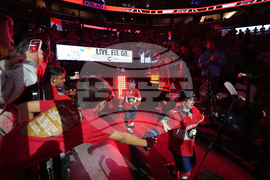 Kings Panthers Hockey