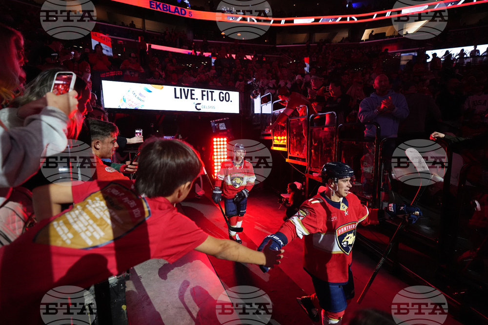 Kings Panthers Hockey