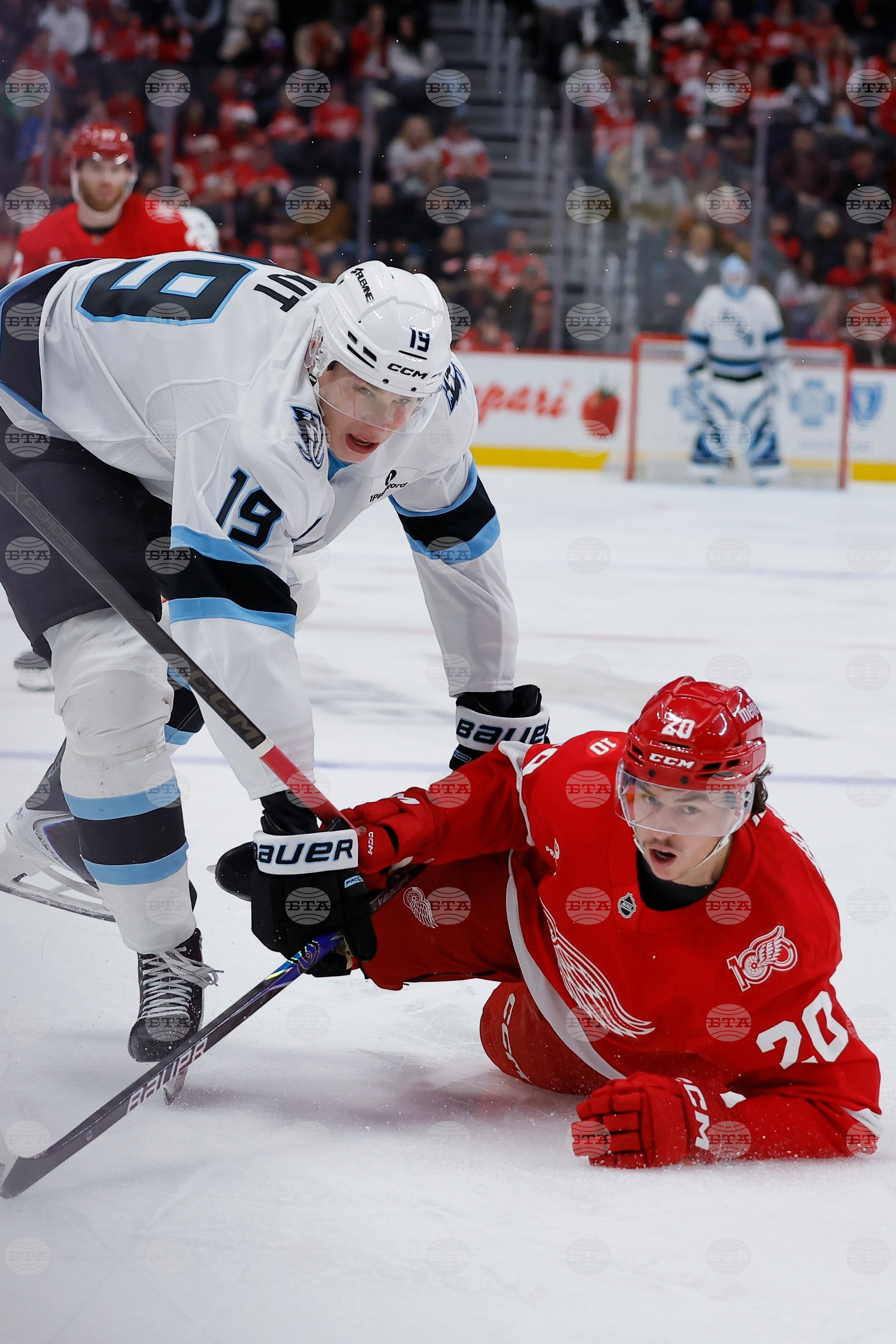 Mammoth Red Wings Hockey