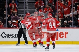 Mammoth Red Wings Hockey