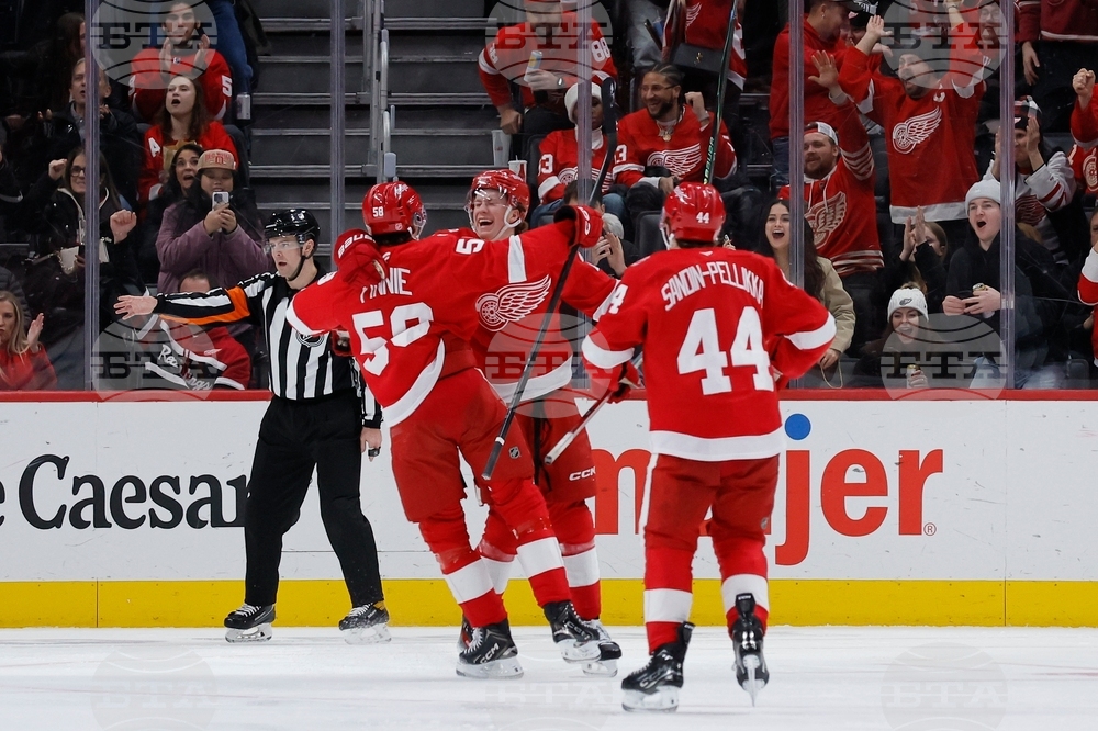 Mammoth Red Wings Hockey