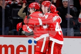 Mammoth Red Wings Hockey