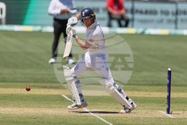 Australia England Cricket