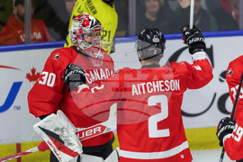 Sweden Canada Hockey