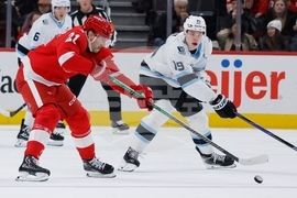 Mammoth Red Wings Hockey