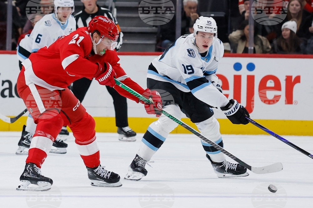 Mammoth Red Wings Hockey