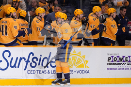 Hurricanes Predators Hockey