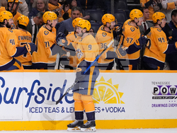 Hurricanes Predators Hockey