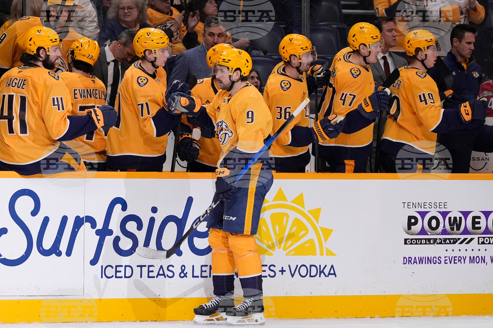 Hurricanes Predators Hockey