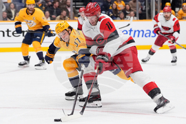 Hurricanes Predators Hockey
