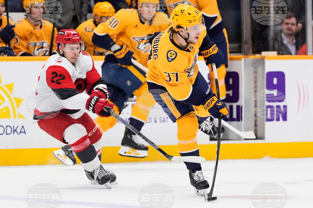 Hurricanes Predators Hockey