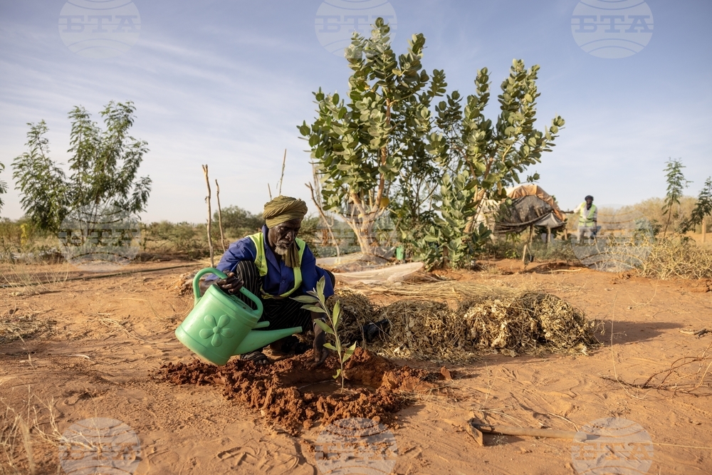Mauritania Desert Firefighters