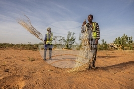 Mauritania Desert Firefighters