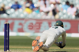 Australia England Cricket