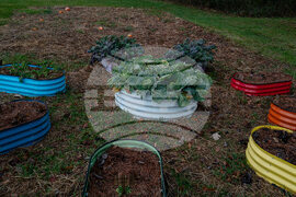 Education Rural Schools