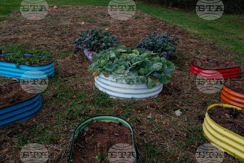 Education Rural Schools