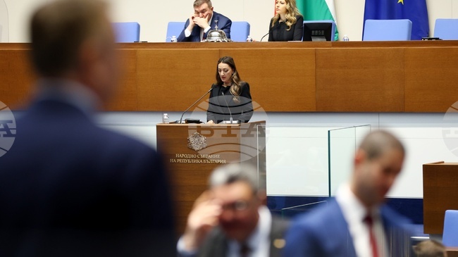 Оставката на омбудсмана и на заместник-омбудсмана поискаха в декларация от „Величие“