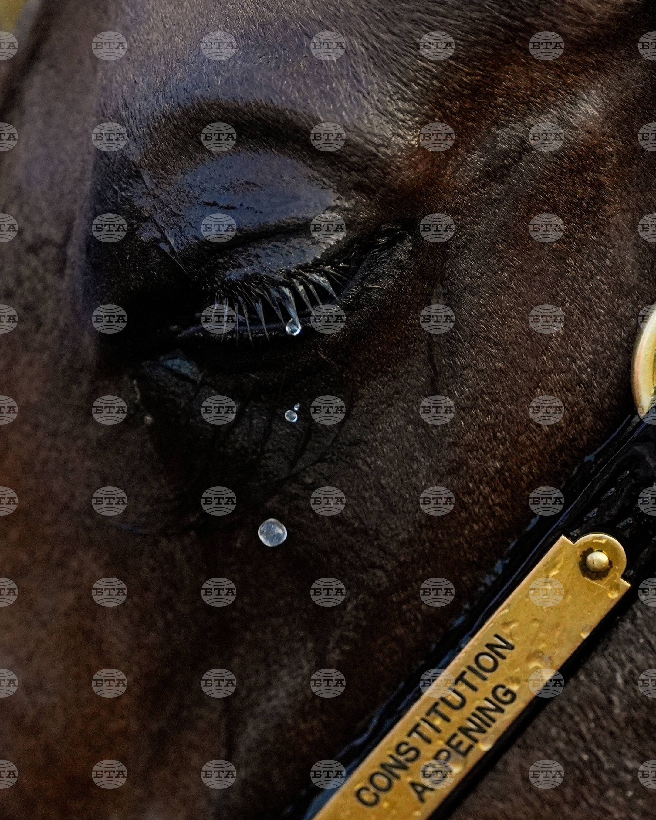 YE Verticals 2025 Photo Gallery