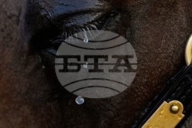 YE Verticals 2025 Photo Gallery