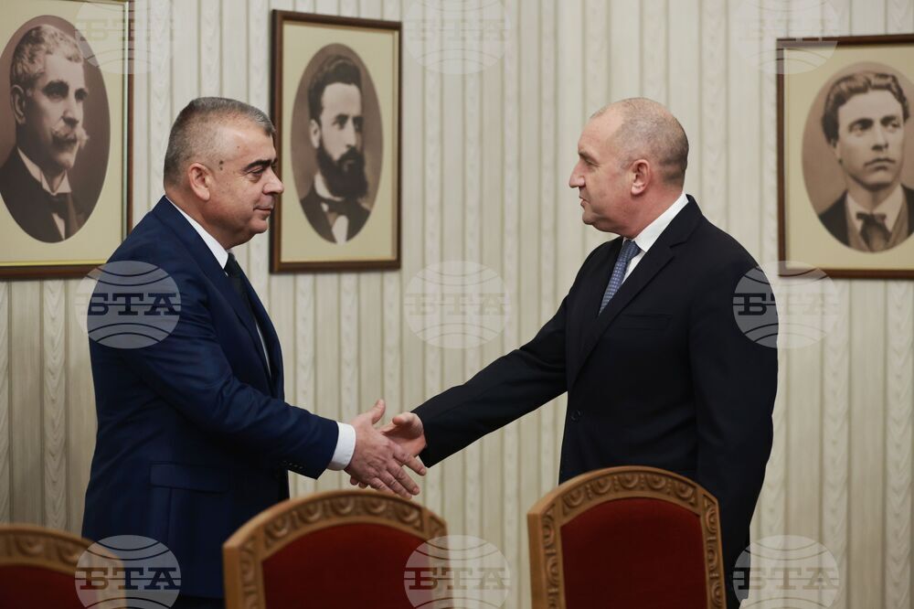 President Radev Holds Consultations with Alliance for Rights and Freedoms 