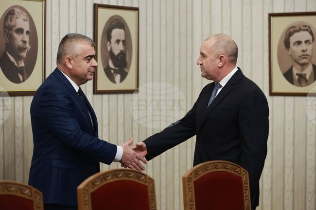 President Radev Holds Consultations with Alliance for Rights and Freedoms 