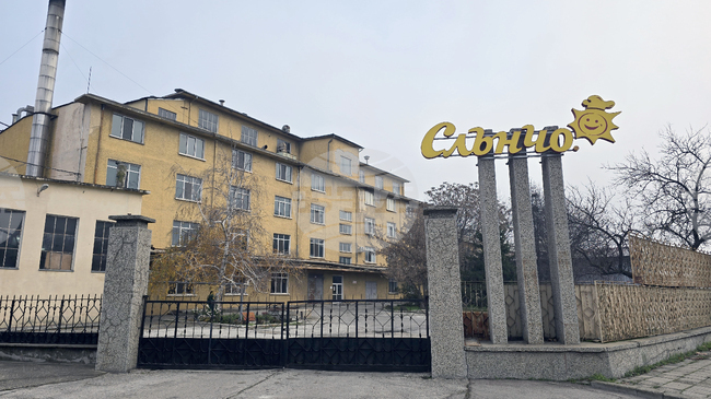 В детските храни на „Слънчо“ АД Свищов няма наличие на неорганичен арсен в количества, представляващи риск за здравето, заявиха от дружеството