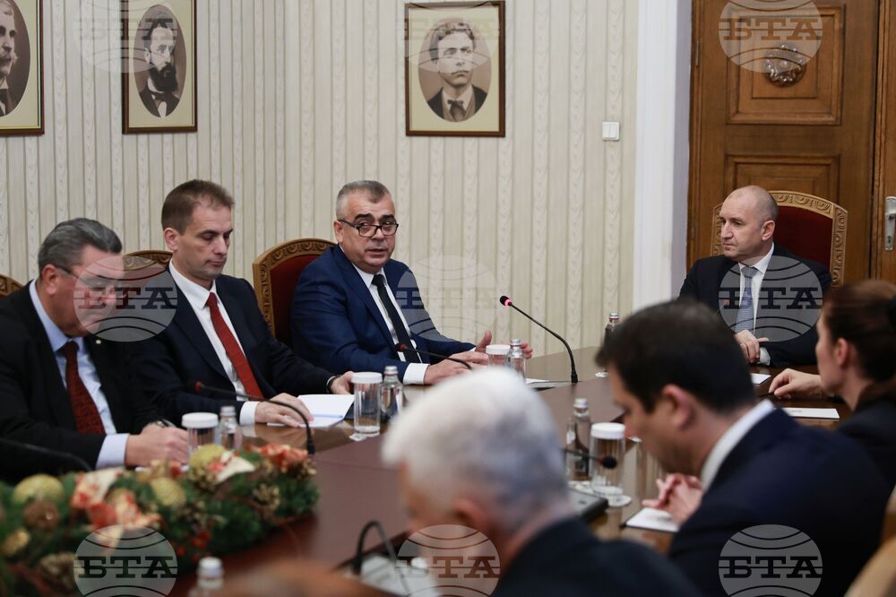 Румен Радев - консултации - "Алианс за права и свободи"