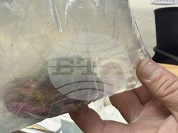 Снимка: Агенция „Митници“