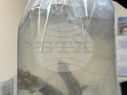 Снимка: Агенция „Митници“