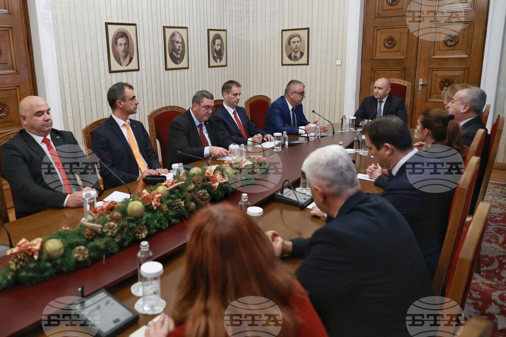 Румен Радев - консултации - "Алианс за права и свободи"